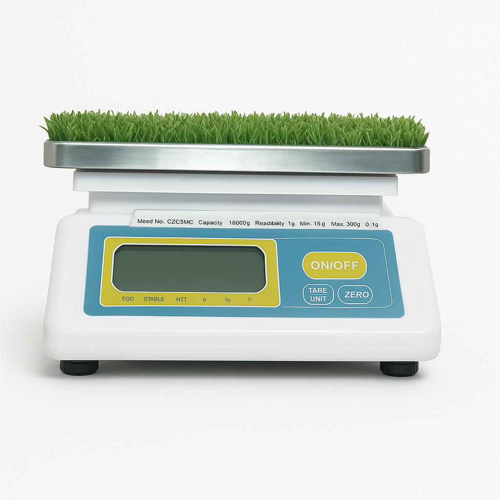 American Scale White – Large Size