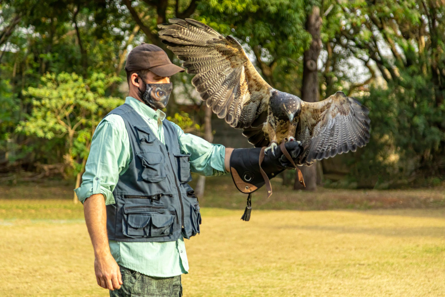 Falconry Equipment