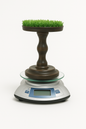 Falcon Digital Weighing Perch